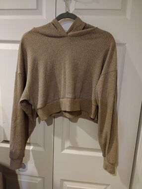 ALO Yoga Ribbed Cropped Hoodie in Taupe